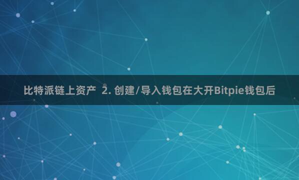 比特派链上资产  2. 创建/导入钱包在大开Bitpie钱包后