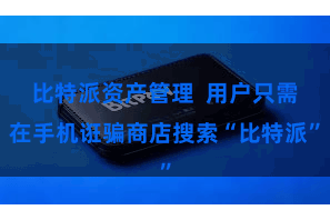 比特派资产管理  用户只需在手机诳骗商店搜索“比特派”