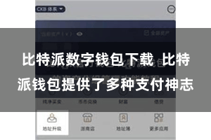 比特派数字钱包下载  比特派钱包提供了多种支付神志