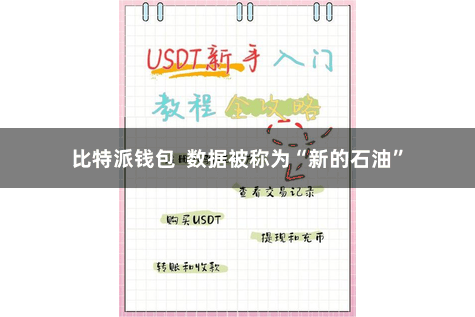 比特派钱包  数据被称为“新的石油”