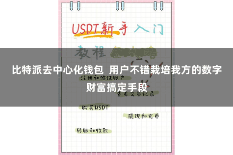 比特派去中心化钱包  用户不错栽培我方的数字财富搞定手段