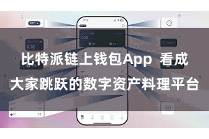 比特派链上钱包App  看成大家跳跃的数字资产料理平台