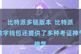 比特派多链版本  比特派数字钱包还提供了多种考证神气